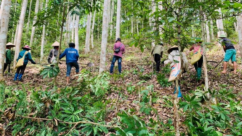 Chi cục kiểm lâm tỉnh Điện Biên triển khai nhiều giải pháp bảo vệ rừng hiệu quả Chi cục kiểm lâm tỉnh Điện Biên triển khai nhiều giải pháp bảo vệ rừng hiệu quả