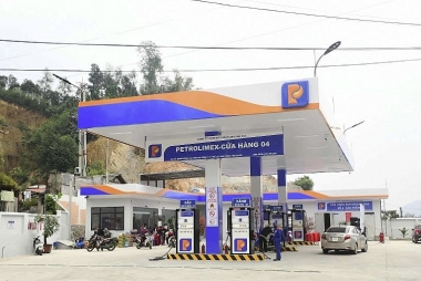 Thu ngân sách quý đầu tiên của năm 2024 tích cực nhờ nhiều khoản thu tăng trưởng
