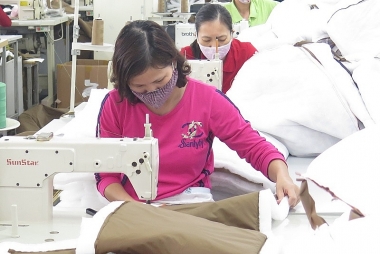 Do đâu thu ngân sách nhà nước tăng 16,5%?
