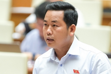 Vi phạm sở hữu trí tuệ, không nên thu hẹp đối tượng xử phạt vi phạm hành chính