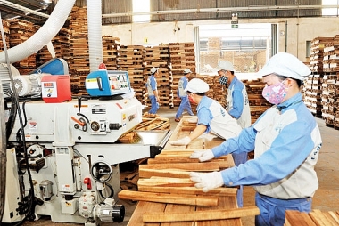 Chuyển cơ quan công an hồ sơ nhiều doanh nghiệp ngành gỗ đề nghị hoàn thuế giá trị gia