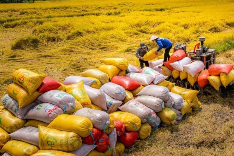 Kỳ vọng xuất khẩu gạo tiếp tục bứt phá trong năm 2024 Kỳ vọng xuất khẩu gạo tiếp tục bứt phá trong năm 2024