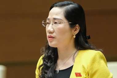 Đại biểu Quốc hội đọc vị tình trạng “thổi” giá đất