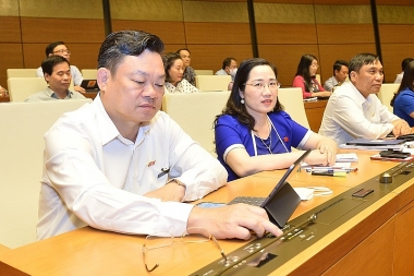 Quốc hội giám sát việc sử dụng nguồn lực cho phòng, chống Covid-19