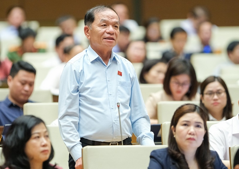 Xử lý nghiêm hành vi thông tin không chính xác, gây nhiễu loạn thị trường bất động sản Xử lý nghiêm hành vi thông tin không chính xác, gây nhiễu loạn thị trường bất động sản