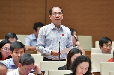 Cần làm rõ lý do không tiếp tục quy định về đất sử dụng cho khu kinh tế