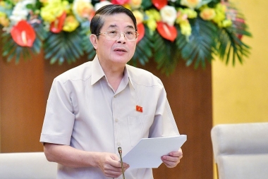 Quy hoạch Thủ đô cần làm rõ hơn tình trạng ùn tắc giao thông, ngập úng đô thị
