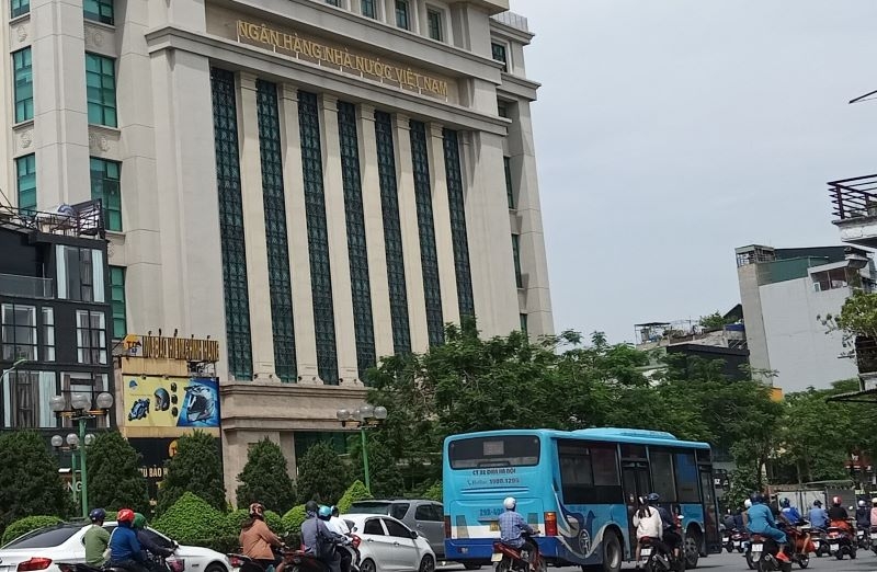 Gói tín dụng hỗ trợ doanh nghiệp ngành sản xuất, chế biến lâm sản và thủy sản có quy mô 15.000 tỷ đồng
