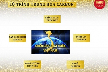 V-startup Group tham gia thị trường tín chỉ carbon