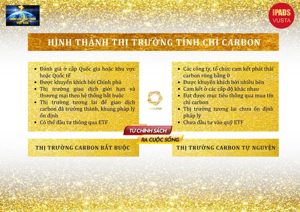 V-startup Group tham gia thị trường tín chỉ carbon V-startup Group tham gia thị trường tín chỉ carbon