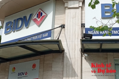 Bất thường công ty chứng khoán “ôm” nhiều trái phiếu ngân hàng?
