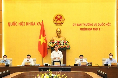 Lần đầu tiên Ủy ban Thường vụ Quốc hội giám sát việc giải quyết khiếu nại, tố cáo