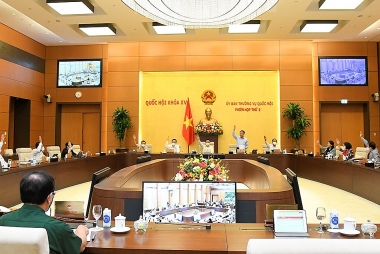 Tinh giảm cơ quan phòng, chống tội phạm trong quân đội