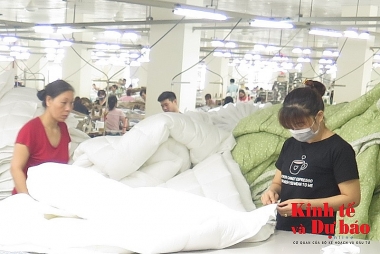 Số tiền kiến nghị xử lý qua thanh, kiểm tra thuế là 21.665 tỷ đồng