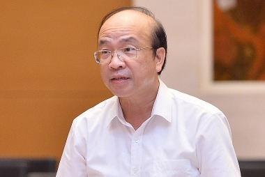 Tăng giám sát của nhà nước trong quản lý vốn đầu tư vào sản xuất, kinh doanh