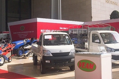 Khởi tố Người phụ trách quản trị của VEAM