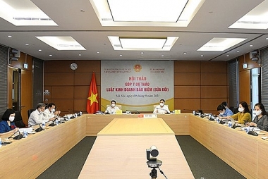 Lắm rủi ro với kinh doanh bảo hiểm