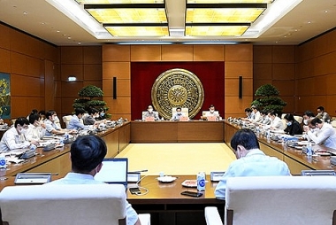 Tránh tạo “khoảng trống” pháp luật trong xử phạt hành chính về sở hữu trí tuệ