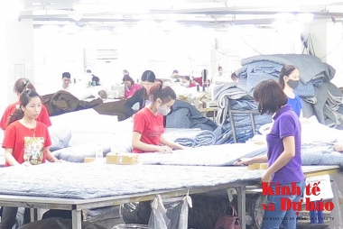 Giai đoạn 1 triển khai hóa đơn điện tử tại 6 tỉnh, thành phố