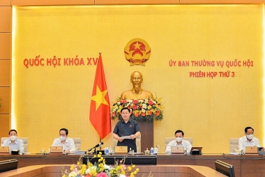Giải quyết khiếu nại, tố cáo, cần nhìn thẳng vào sự thật