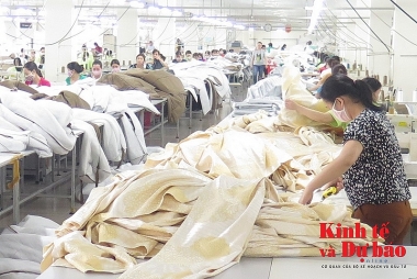 Hỗ trợ doanh nghiệp tuân thủ pháp luật hải quan: Cần rõ ràng quyền lợi