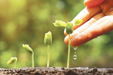 Tạp chí Kinh tế và Dự báo sắp tổ chức Hội thảo khoa học cấp quốc gia