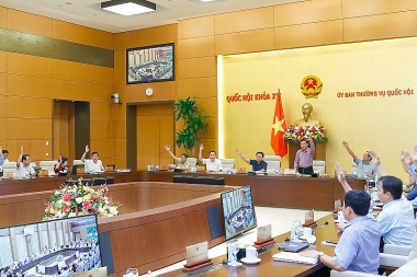 Quốc hội sắp xem xét cơ chế đấu giá biển số xe ô tô