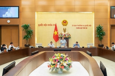 Ủy ban Thường vụ Quốc hội cho ý kiến lần 2 đối với dự án Luật Đất đai (sửa đổi)