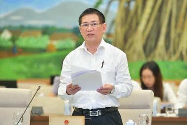 Không áp thuế tối thiểu, vừa thất thu thuế, vừa làm mất dòng đầu tư vào Việt Nam
