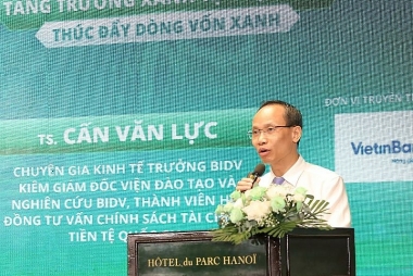 Tài chính xanh ở Việt Nam: Thực trạng và kiến nghị giải pháp