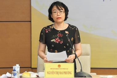 Việc xử lý văn bản có nội dung trái pháp luật còn chậm…