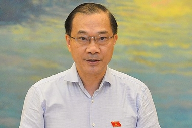 Nên hạn chế sử dụng đất lúa để làm khu công nghiệp