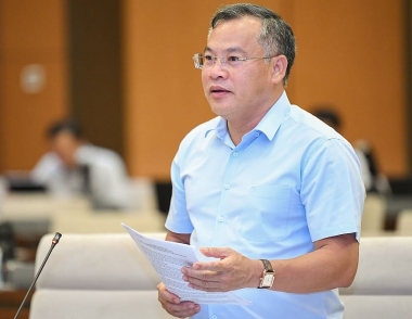 Đấu giá “biển số đẹp”, khó nhất là xác định giá khởi điểm