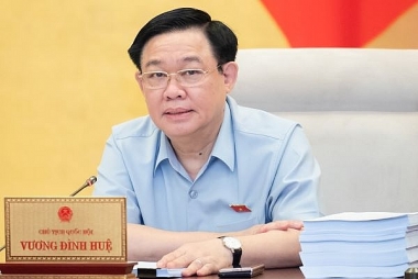 Giám sát về phát triển năng lượng, phải chỉ ra được trách nhiệm của các cơ quan