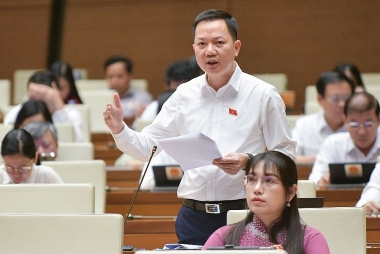Thao túng trên thị trường kinh doanh bất động sản rất tinh vi