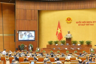 Nhân viên doanh nghiệp bảo hiểm còn gây... phiền cho khách hàng
