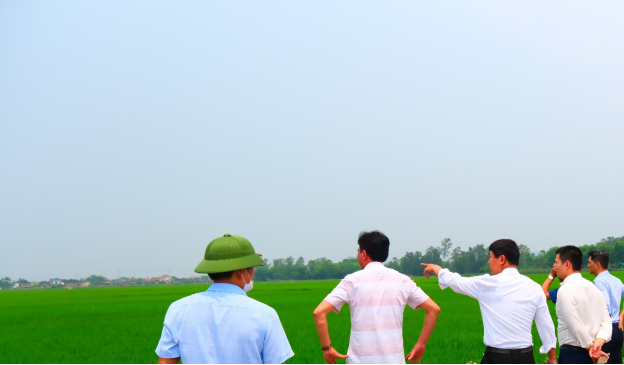 Quá trình hoàn thành xây dựng nông thôn mới nâng cao và hành trình tiến tới nông thôn mới thông minh của tỉnh Nghệ An và giải pháp của xã Tân Sơn