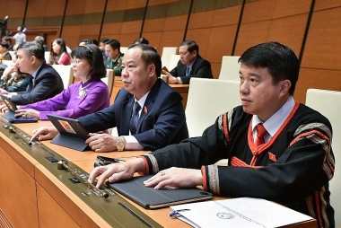 Nghị quyết về áp dụng thuế thu nhập doanh nghiệp bổ sung theo quy định chống xói mòn cơ sở thuế toàn cầu được thông qua
