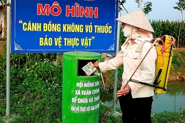 Cánh đồng không vỏ thuốc bảo vệ thực vật mang lại “sinh khí” cho nỗ lực xây dựng nông thôn mới
