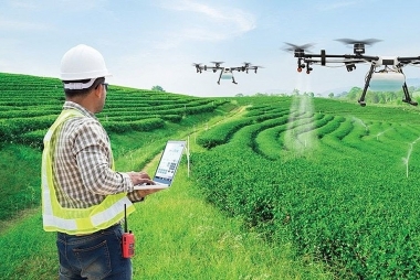 Thúc đẩy triển khai chương trình khoa học - công nghệ phục vụ xây dựng nông thôn mới