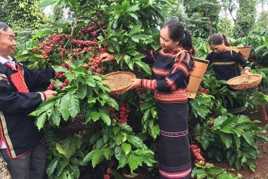 Kinh tế tuần hoàn trong Chiến lược quốc gia về tăng trưởng xanh và phát triển bền vững cho Tây Nguyên