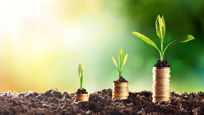 Chính sách tài chính thúc đẩy tăng trưởng xanh tại Việt Nam