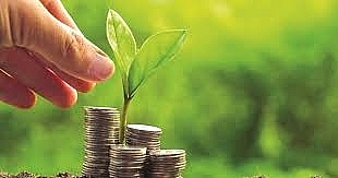 Cơ hội và thách thức để phát triển trái phiếu doanh nghiệp xanh tại Việt Nam