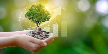 Giải pháp hoàn thiện chính sách chi ngân sách nhà nước cho bảo vệ môi trường tại Việt Nam