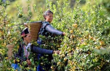 Về giải ngân vốn đầu tư công thuộc Chương trình mục tiêu quốc gia về phát triển kinh tế - xã hội vùng đồng bào DTTS và miền núi