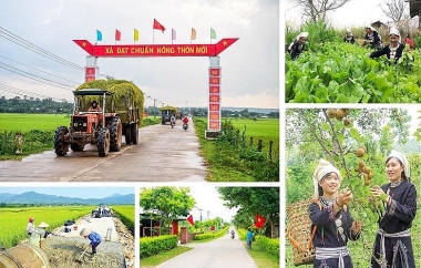 Đầu tư phát triển hạ tầng thương mại trong thực hiện Chương trình mục tiêu quốc gia xây dựng nông thôn mới