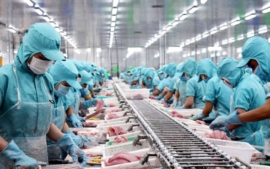 Một số giải pháp thúc đẩy xuất khẩu thủy sản việt nam sang Trung Quốc