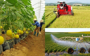 Phát huy vai trò của mô hình kinh tế hợp tác xã đối với sự phát triển nền kinh tế Việt Nam