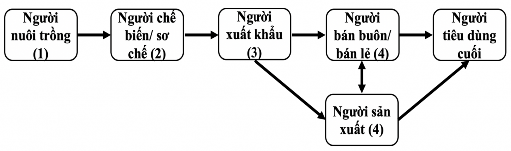 Chuỗi cung ứng nông sản xuất khẩu của Việt Nam Chuỗi cung ứng nông sản xuất khẩu của Việt Nam
