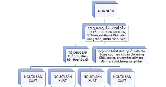 Xây dựng thương hiệu chỉ dẫn địa lý gắn với nông sản tại thị trường Việt Nam Xây dựng thương hiệu chỉ dẫn địa lý gắn với nông sản tại thị trường Việt Nam